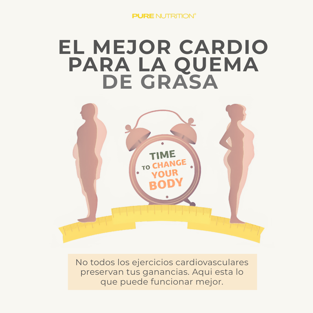 Cardio Sin Perder Masa Muscular Cardio Sin Perder Masa Muscular