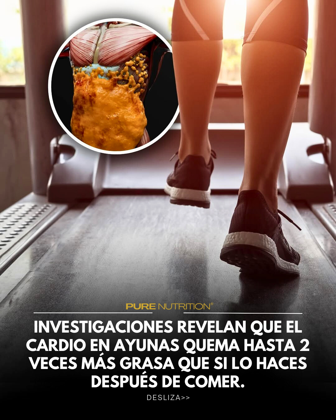Cardio en Ayunas: ¿El Secreto para Quemar el Doble de Grasa? Cardio en Ayunas: ¿El Secreto para Quemar el Doble de Grasa?