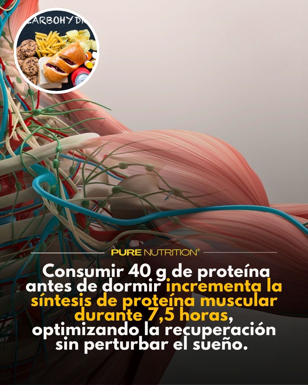 Optimización de la Recuperación Muscular durante el Sueño: Efectos de la Ingestión de Proteínas antes de Dormir Optimización de la Recuperación Muscular durante el Sueño: Efectos de la Ingestión de Proteínas antes de Dormir