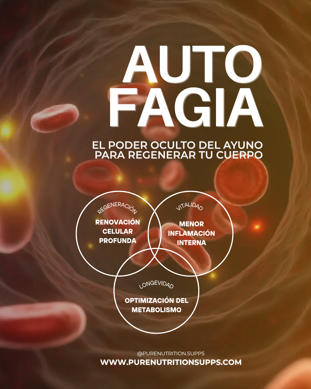 🧬 GUÍA COMPLETA: Cómo activar la autofagia 🧬 GUÍA COMPLETA: Cómo activar la autofagia